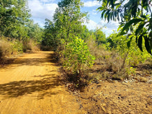 Load image into Gallery viewer, 2.6 Hectares at Bagacay, Talibon, Bohol