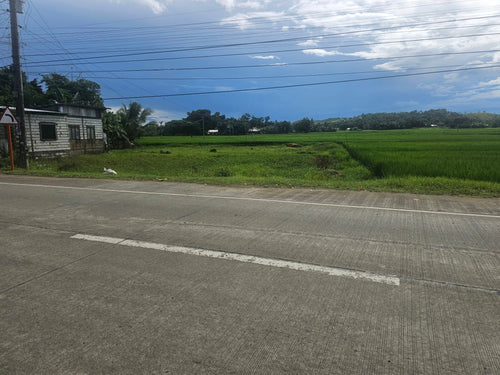 Bohol lot for sale along national highway in Talibon Bohol
