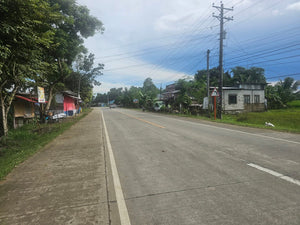 Bohol lot for sale along national highway in Talibon Bohol