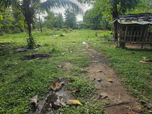 Load image into Gallery viewer, Lot for sale near TRINIDAD MUNICIPAL COLLEGE (TMC), Trinidad Bohol, Philippines