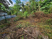 Load image into Gallery viewer, Lot for sale near TRINIDAD MUNICIPAL COLLEGE (TMC), Trinidad Bohol, Philippines