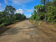 Load image into Gallery viewer, Lot for sale near TRINIDAD MUNICIPAL COLLEGE (TMC), Trinidad Bohol, Philippines
