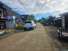 Load image into Gallery viewer, Lot for sale near TRINIDAD MUNICIPAL COLLEGE (TMC), Trinidad Bohol, Philippines