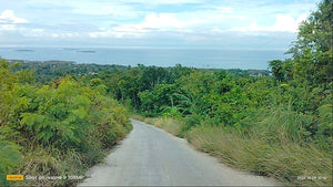 Overlooking seaview lot for sale 6,576 sqm clean title Tubigon Bohol 800/sqm negotiable