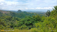 Load image into Gallery viewer, Overlooking seaview lot for sale 6,576 sqm clean title Tubigon Bohol 800/sqm negotiable