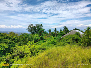 Overlooking seaview lot for sale 6,576 sqm clean title Tubigon Bohol 800/sqm negotiable