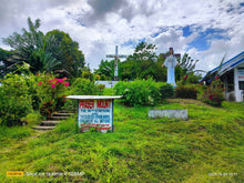 Load image into Gallery viewer, Overlooking seaview lot for sale 6,576 sqm clean title Tubigon Bohol 800/sqm negotiable