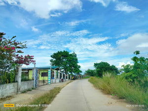 Overlooking seaview lot for sale 6,576 sqm clean title Tubigon Bohol 800/sqm negotiable