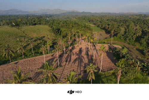 🌴 FOR SALE: 4.2 HECTARE FARM LOT – SAN FRANCISCO, UBAY, BOHOL 🌴