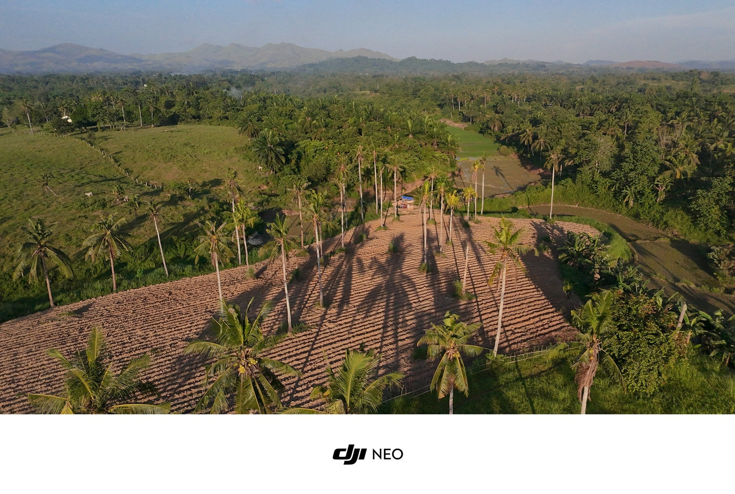 🌴 FOR SALE: 4.2 HECTARE FARM LOT – SAN FRANCISCO, UBAY, BOHOL 🌴