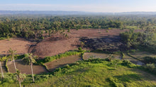 Load image into Gallery viewer, 🌴 FOR SALE: 4.2 HECTARE FARM LOT – SAN FRANCISCO, UBAY, BOHOL 🌴