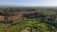 Load image into Gallery viewer, 🌴 FOR SALE: 4.2 HECTARE FARM LOT – SAN FRANCISCO, UBAY, BOHOL 🌴