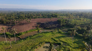 🌴 FOR SALE: 4.2 HECTARE FARM LOT – SAN FRANCISCO, UBAY, BOHOL 🌴
