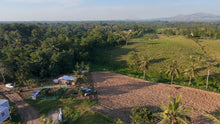 Load image into Gallery viewer, 🌴 FOR SALE: 4.2 HECTARE FARM LOT – SAN FRANCISCO, UBAY, BOHOL 🌴