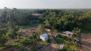 🌴 FOR SALE: 4.2 HECTARE FARM LOT – SAN FRANCISCO, UBAY, BOHOL 🌴