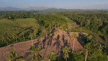 Load image into Gallery viewer, 🌴 FOR SALE: 4.2 HECTARE FARM LOT – SAN FRANCISCO, UBAY, BOHOL 🌴