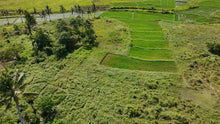 Load image into Gallery viewer, 📍 FOR SALE: 1.1-Hectare Lot in Tuburan, Ubay, Bohol