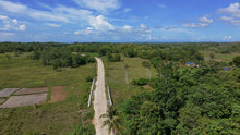 Load image into Gallery viewer, 📍 FOR SALE: 1.1-Hectare Lot in Tuburan, Ubay, Bohol