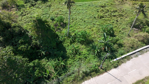 📍 FOR SALE: 1.1-Hectare Lot in Tuburan, Ubay, Bohol