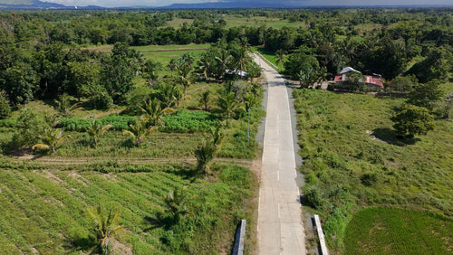 FOR SALE: 5-Hectares Lot in Tuburan, Ubay, Bohol - expandable