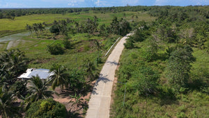 FOR SALE: 5-Hectares Lot in Tuburan, Ubay, Bohol - expandable