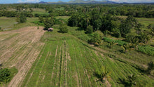 Load image into Gallery viewer, FOR SALE: 5-Hectares Lot in Tuburan, Ubay, Bohol - expandable