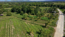 Load image into Gallery viewer, FOR SALE: 5-Hectares Lot in Tuburan, Ubay, Bohol - expandable