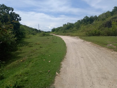 Lot For Sale Near Police Station and School in Bogo, Cebu propertyph.net