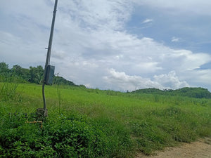 Farm Land For Sale in Bogo City Cebu 120 Hectares propertyph.net