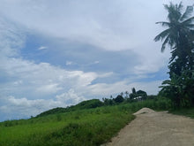 Load image into Gallery viewer, Farm Land For Sale in Bogo City Cebu 120 Hectares propertyph.net