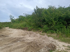 Lot For Sale Near Police Station and School in Bogo, Cebu propertyph.net