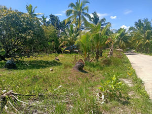 6,000 sqm  lot for sale at Tabogon Cebu 300/SQM