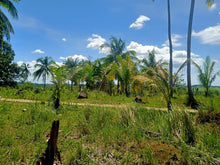 Load image into Gallery viewer, 6,000 sqm  lot for sale at Tabogon Cebu 300/SQM