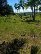 Load image into Gallery viewer, 6,000 sqm  lot for sale at Tabogon Cebu 300/SQM