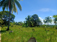 Load image into Gallery viewer, 6,000 sqm  lot for sale at Tabogon Cebu 300/SQM