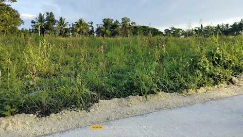 Cebu Lot For Sale 10 Hectares Clean Title in Bogo City 600/sqm