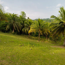 Load image into Gallery viewer, OVERLOOKING FARM SEAVIEW WITH 1,000 COCONUT TREES IN ALOGUINSAN CEBU