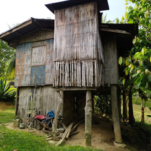 Load image into Gallery viewer, OVERLOOKING FARM SEAVIEW WITH 1,000 COCONUT TREES IN ALOGUINSAN CEBU