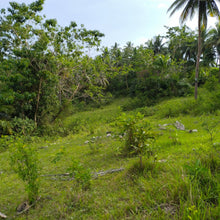 Load image into Gallery viewer, OVERLOOKING FARM SEAVIEW WITH 1,000 COCONUT TREES IN ALOGUINSAN CEBU