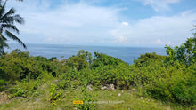 Load image into Gallery viewer, Beach Lot For Sale 26 Hectares In Bogo City Cebu 800/Sq.M