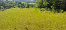 Load image into Gallery viewer, Cebu lot for sale along h.way 16 has in Tabogon Cebu 250/sqm