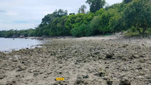 Load image into Gallery viewer, Beach Lot For Sale 26 Hectares In Bogo City Cebu 800/Sq.M