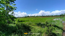 Load image into Gallery viewer, Bohol irrigated ricefield for sale 20,000 sqm tax declaration in Ubay Bohol 100/sqm