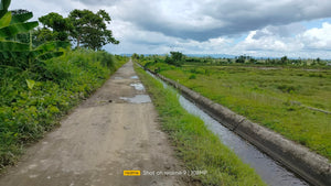 Bohol irrigated ricefield for sale 25,000 sqm in Ubay Bohol 100 /sqm