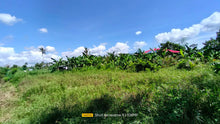 Load image into Gallery viewer, Bohol irrigated ricefield for sale 20,000 sqm tax declaration in Ubay Bohol 100/sqm