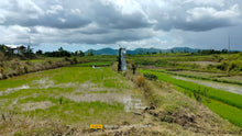 Load image into Gallery viewer, Bohol irrigated ricefield for sale 25,000 sqm in Ubay Bohol 100 /sqm