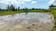 Load image into Gallery viewer, Bohol irrigated ricefield for sale 25,000 sqm in Ubay Bohol 100 /sqm