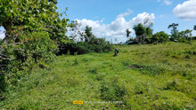 Load image into Gallery viewer, Bohol irrigated ricefield for sale 20,000 sqm tax declaration in Ubay Bohol 100/sqm