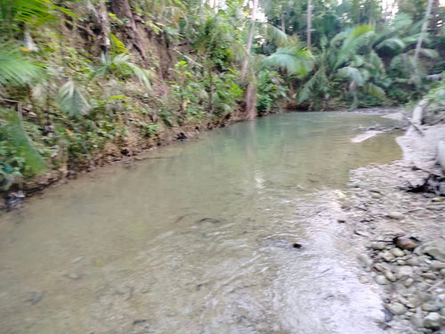 2.9 has along river at  Aloguinsan Cebu 150/sqm