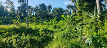 Load image into Gallery viewer, Cebu lot for sale 53,742 sqm ideal for farming/housing development in Guba Cebu City 500/sqm